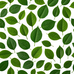 Fototapeta premium Lush green leaves on black background, creating a textured pattern