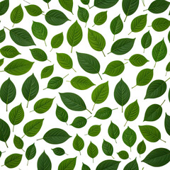 Dense arrangement of lush, green leaves on a black background