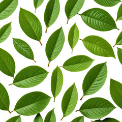 Naklejka premium Lush green leaves scattered against a black background, vibrant texture
