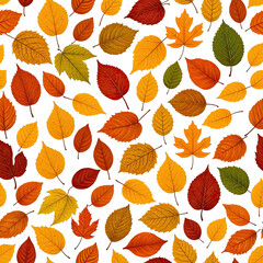 Obraz premium Colorful autumn leaves scattered on black background (8)