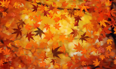 autumn leaves background