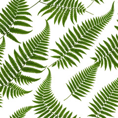 Green ferns on a black background, creating a repeating botanical pattern