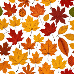 Assorted autumn foliage in vibrant shades on a black background