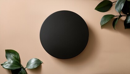 Eco Friendly Product Mockup Black Circle On Beige