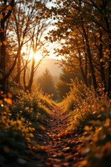 Autumn Path Through Golden Forest