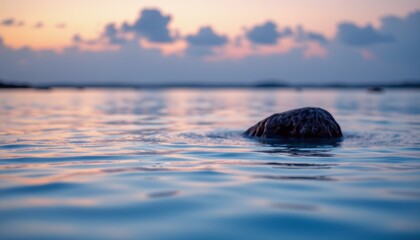 Rock in Calm Water at Sunset
