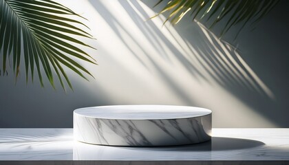 Empty Marble Podium With Sunlit Palm Leaf Shadows