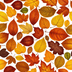 Obraz premium Seamless pattern of colorful, fallen foliage; autumn season vibes