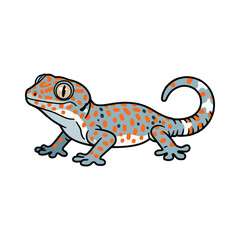 
gecko illustration design