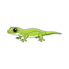 
gecko illustration design