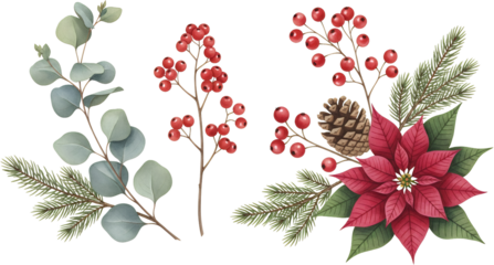 Watercolor eucalyptus branches holly berries pine needles pinecone and a red poinsettia flower arranged compositionally Green Botanical Decoration Arrangement