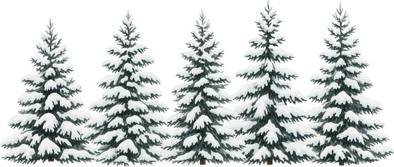Five Snow Covered Pine Trees Lined Up Against A Transparent Background Depicting A Winter Forest Scene Nature Evergreen Cold Season Frost White Landscape Outdoors