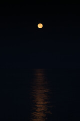 満月と黒い背景
