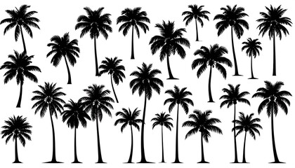 Obraz premium Silhouette collection of various palm trees