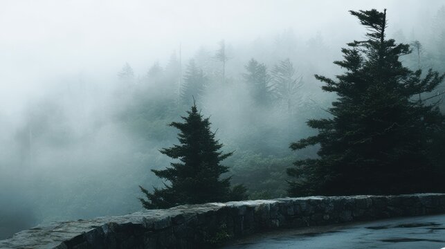 Misty mountain featuring evergreen trees shrouded in fog and a stone wall overlook - Powered by Adobe