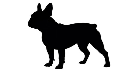 Silhouette of a French Bulldog
