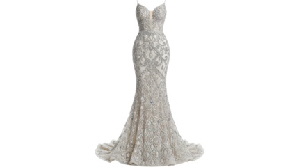 Elegant silver colored beaded formal gown isolated PNG with Transparent Background