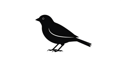 Obraz premium Silhouette of a small bird