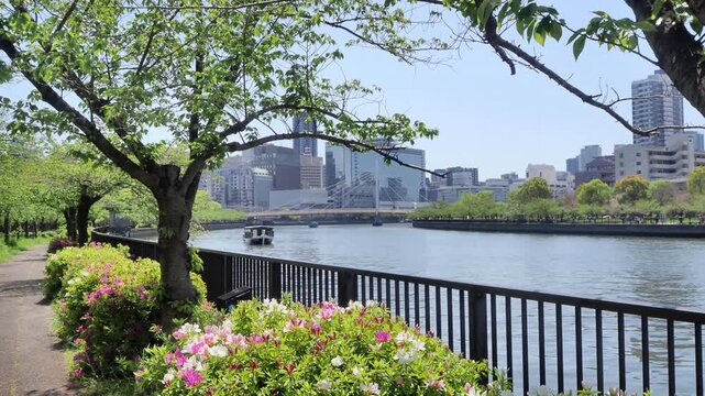 大阪　大川沿いの初夏の景色