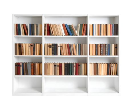 Organized library shelves brimming with diverse books, inviting knowledge and learning for any professional setting.