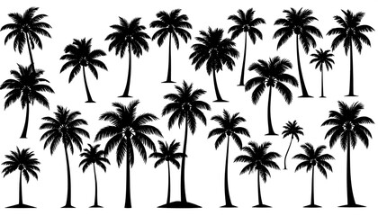 Fototapeta premium Silhouettes of various palm trees
