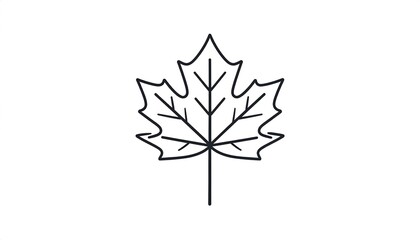 Simple black line drawing of a maple leaf
