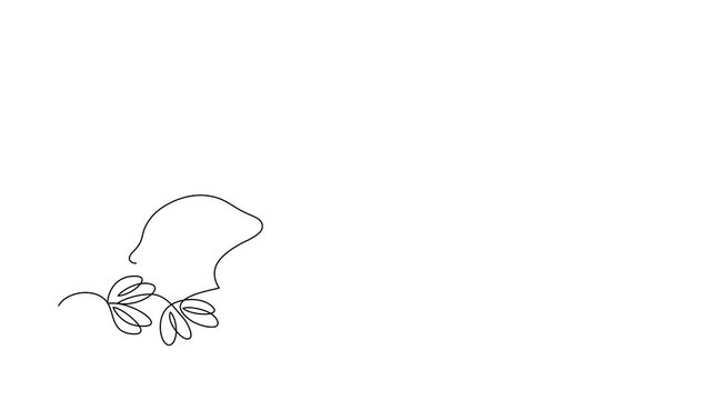 Mint herbal tea cup with mint leaves and lemon, , animated self drawing of single continuous line, continuous contour movement, video drawing of line in 4k, hot invigorating drink, one line