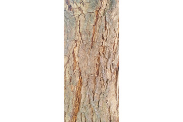 Old wooden fence isolated on white background