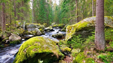 River flowing through dense forest with crystal clear water and moss covered rocks, ecological conservation and natural landscape concept.