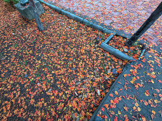 A sidewalk covered in orange leaves and debris