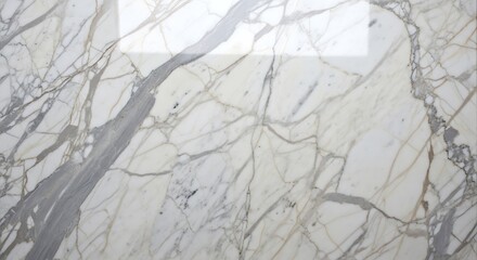 Elegant White Marble with Gray Veins Texture Background.