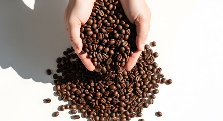 coffee beans in a hand