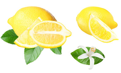 fresh lemons with bright slices, verdant leaves, and a beautiful citrus blossom