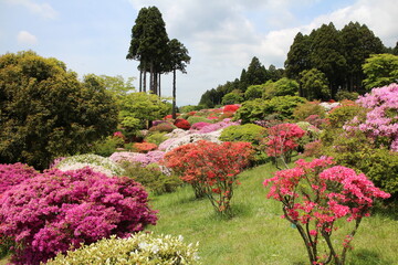箱根の芦ノ湖沿いにある山のホテルのつつじの庭園の風景