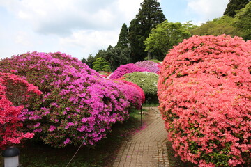 箱根の芦ノ湖沿いにある山のホテルのつつじ庭園の風景