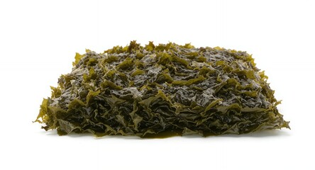 Seaweed Close Up on White Background