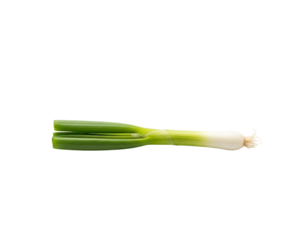 Isolated green onion scallion fresh vegetable ingredient cooking food photo
