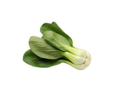 Fresh bok choy vegetable healthy eating asian greens organic produce food