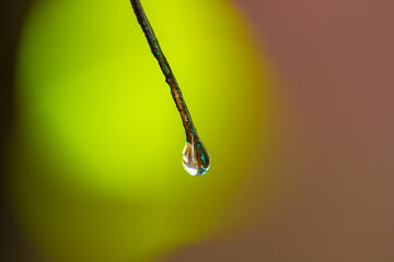 water drop on a yellow background