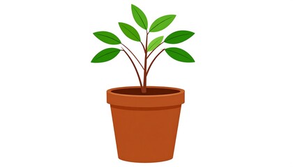 Potted Plant Growing in Brown Pot.