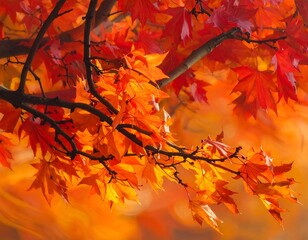 Autumn leaves ablaze