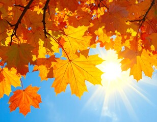 Autumn leaves against a vibrant blue sky. Sunlight streams through the foliage