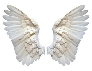 Fototapeta premium Pair of symmetrical white angel wings (1)