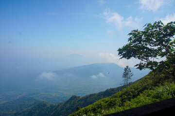Beautiful Mountain Landscape with Green Foliage