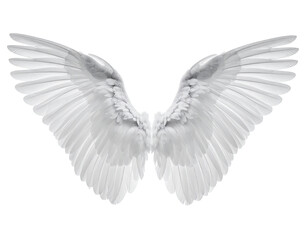 Obraz premium Pair of outstretched white angel wings