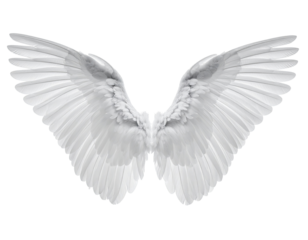 Pair of outstretched white angel wings