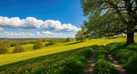 Vibrant summer landscape with rolling hills under a dramatic blue sky