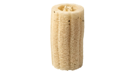Loofah isolated on transparent background, a natural sponge for exfoliating skin, promoting circulation, and leaving it feeling refreshed and smooth