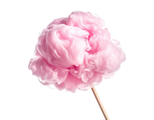 Pink cotton candy on a stick