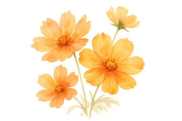 Naklejka premium Yellow cosmos flowers illustrated in watercolor style, forming a beautiful blooming bouquet against a transparent background